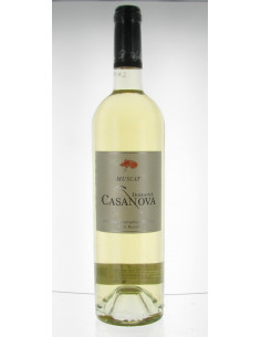 Muscat Casanova 75 cl