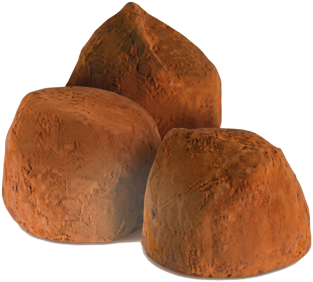 Truffes Guyaux 100 g